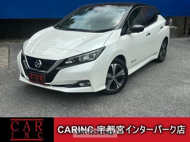 Nissan LEAF 2018-05 8006848-0