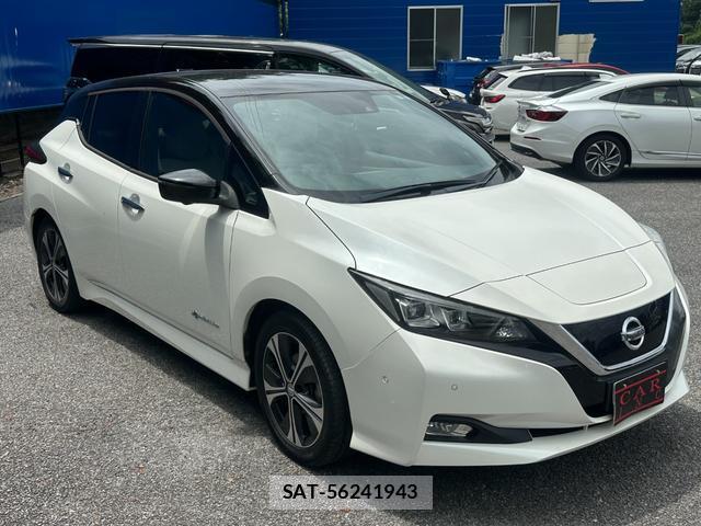 Nissan LEAF 2018-05 8006848-2