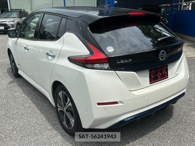 Nissan LEAF 2018-05 8006848-5