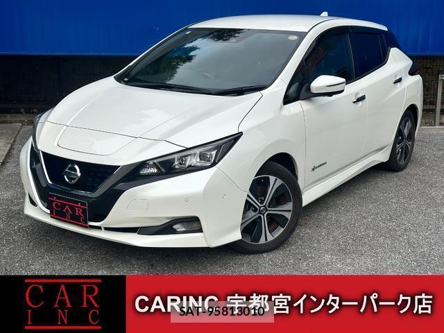 Nissan LEAF 2021-02 8006853-0