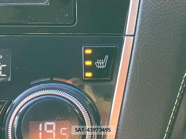 Subaru OUTBACK 2018-10 8003225-11