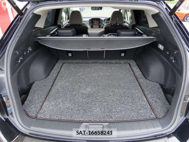 Subaru LAYBACK 2024-03 8008926-18