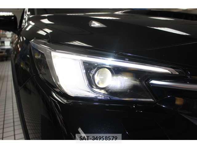 Subaru LAYBACK 2023-12 8010191-16