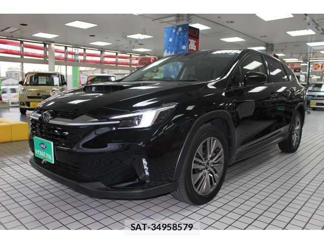Subaru LAYBACK 2023-12 8010191-3
