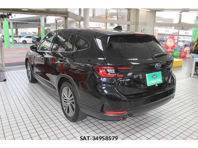 Subaru LAYBACK 2023-12 8010191-5