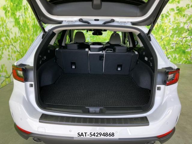 Subaru LAYBACK 2023-11 8012388-7