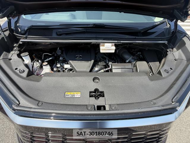 Lexus LM 2025-02 8005932-7