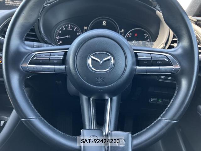 Mazda MAZDA3 2019-12 8004184-14