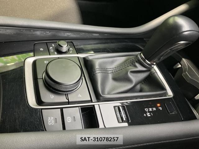 Mazda MAZDA3 2019-07 8005913-15