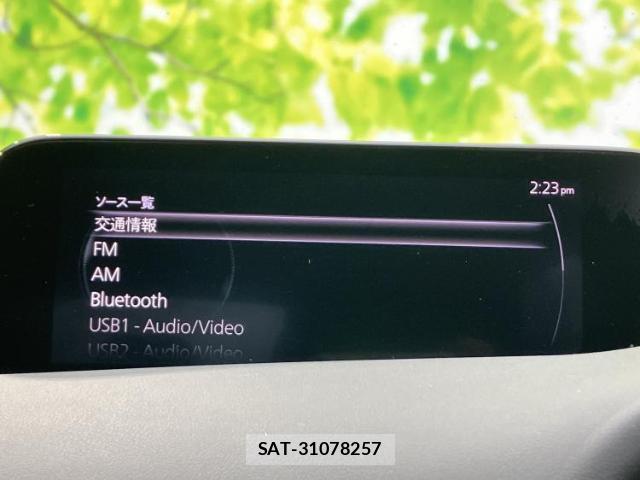 Mazda MAZDA3 2019-07 8005913-9