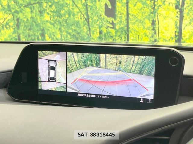 Mazda MAZDA3 2019-08 8007283-3