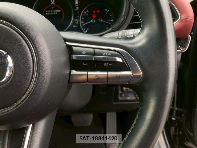 Mazda MAZDA3 2020-03 8008464-15