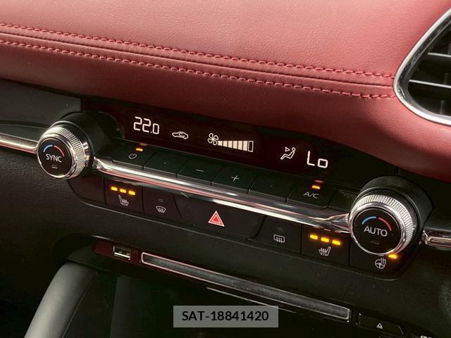 Mazda MAZDA3 2020-03 8008464-19