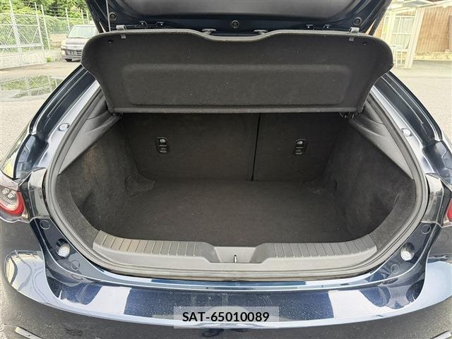 Mazda MAZDA3 2021-06 8010802-18