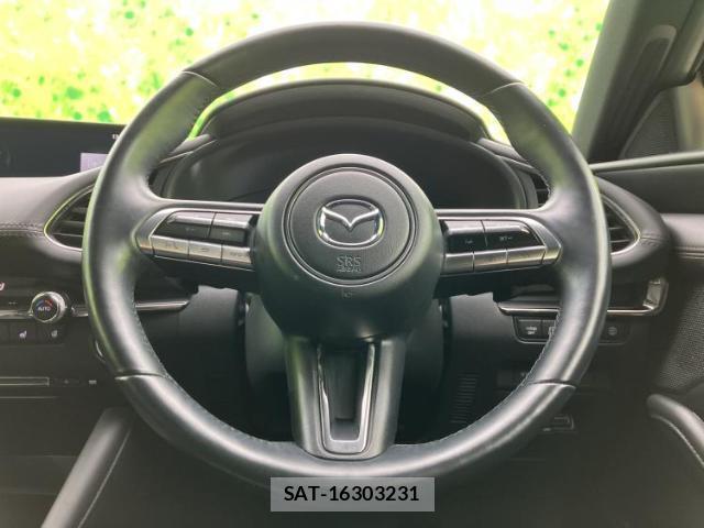 Mazda MAZDA3 2019-07 8012331-14