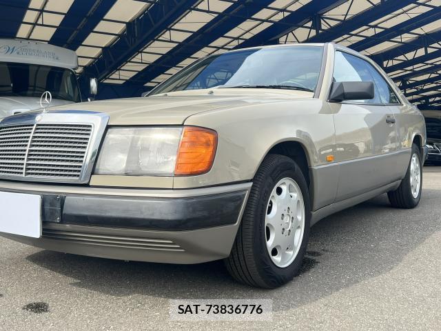 Mercedes Benz M-CLASS 1988-06 8005931-12