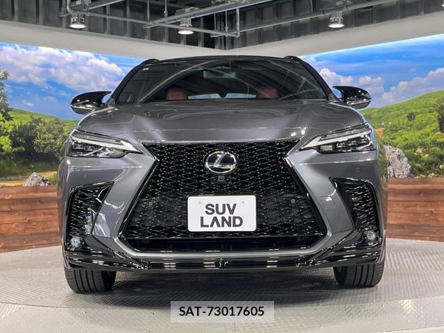 Lexus NX 2023-06 8004735-14