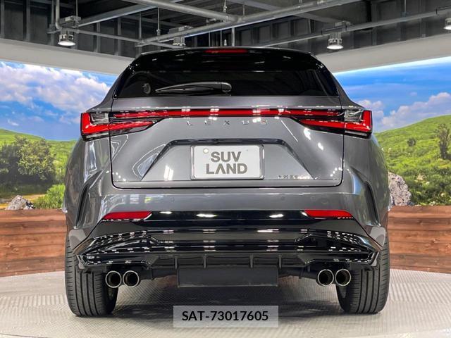 Lexus NX 2023-06 8004735-15