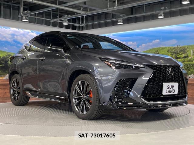 Lexus NX 2023-06 8004735-16
