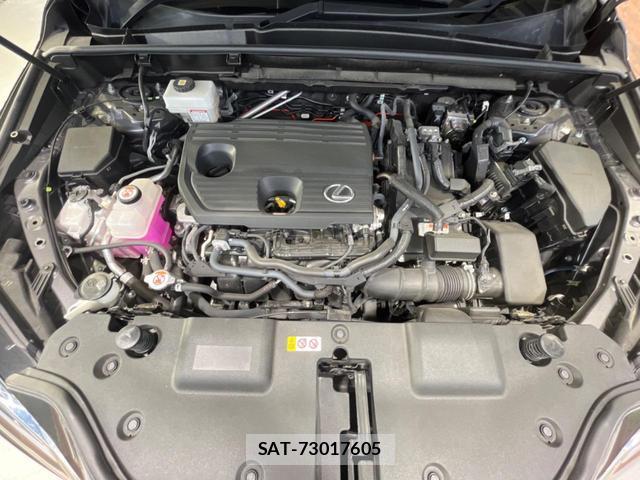Lexus NX 2023-06 8004735-17