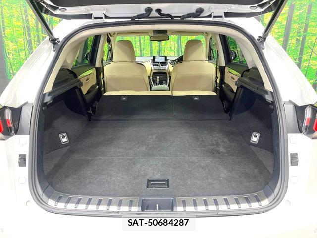 Lexus NX 2016-08 8004888-10