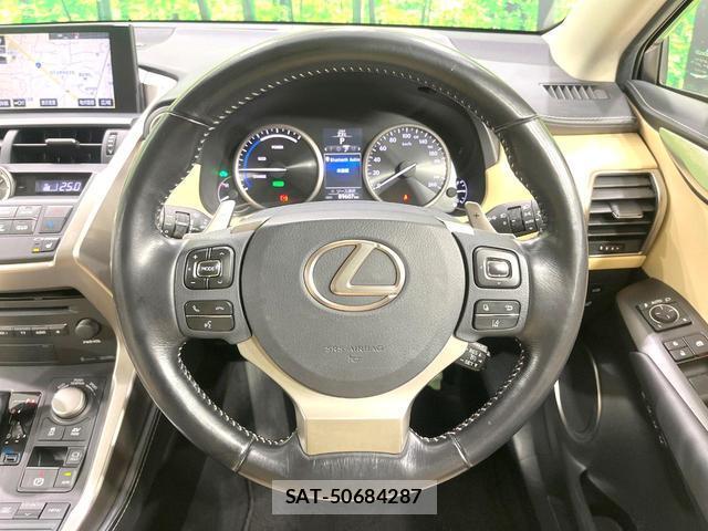 Lexus NX 2016-08 8004888-11