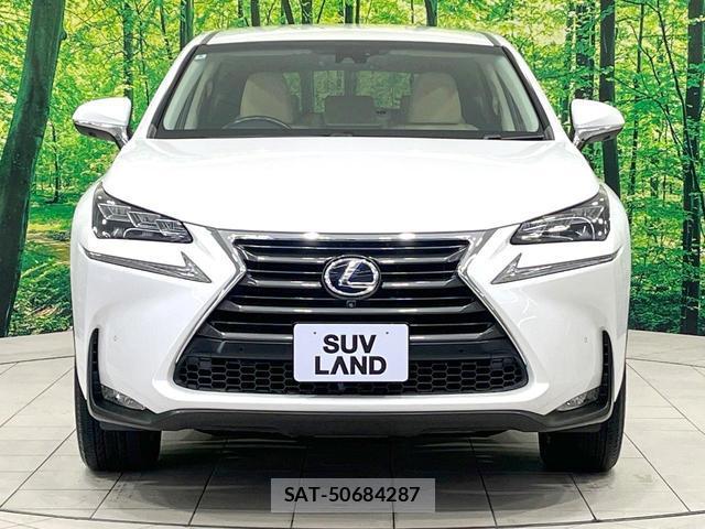 Lexus NX 2016-08 8004888-14