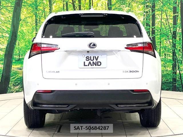 Lexus NX 2016-08 8004888-15