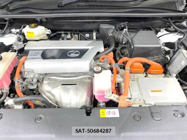 Lexus NX 2016-08 8004888-18