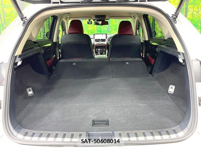 Lexus NX 2021-08 8004892-11