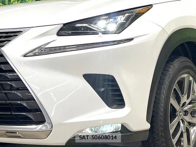Lexus NX 2021-08 8004892-12