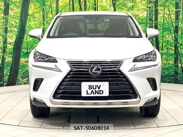 Lexus NX 2021-08 8004892-14