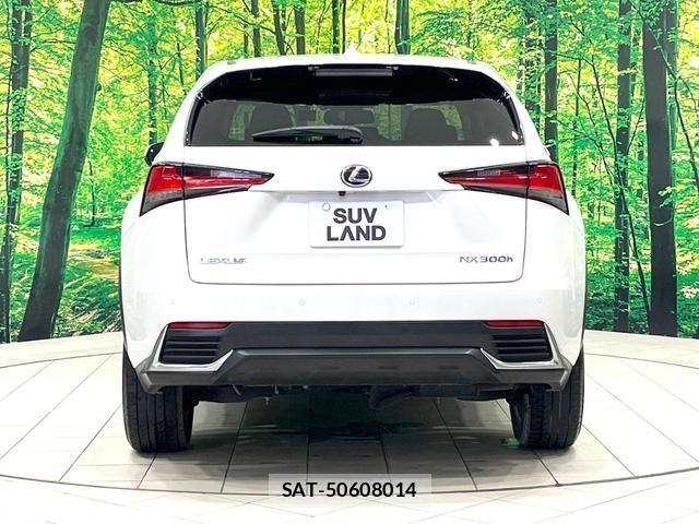 Lexus NX 2021-08 8004892-15