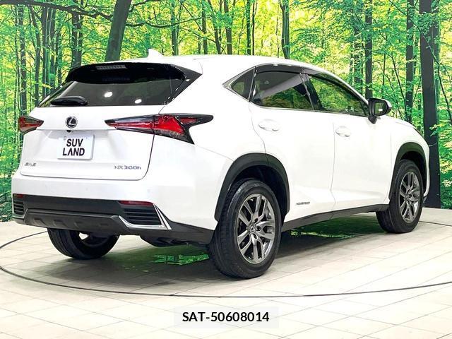Lexus NX 2021-08 8004892-17