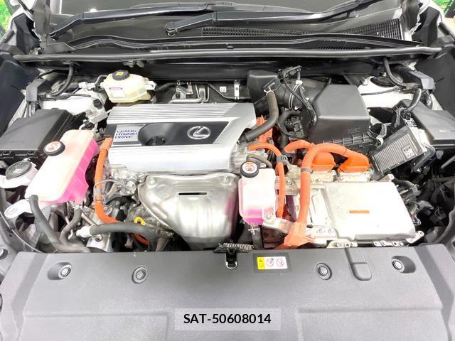 Lexus NX 2021-08 8004892-18