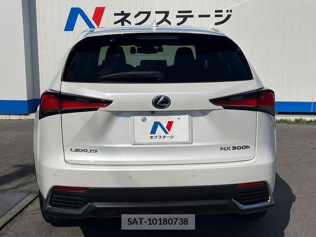 Lexus NX 2017-11 8005292-14