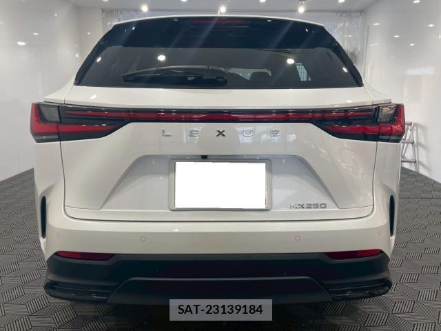 Lexus NX 2023-05 8007132-16