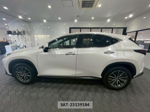 Lexus NX 2023-05 8007132-17