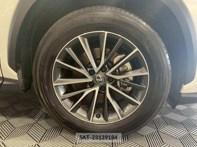 Lexus NX 2023-05 8007132-19