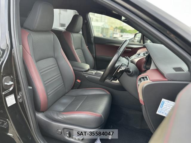 Lexus NX 2020-12 8007832-14