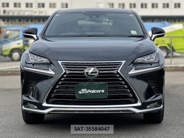 Lexus NX 2020-12 8007832-17