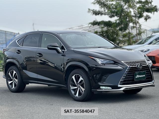 Lexus NX 2020-12 8007832-18