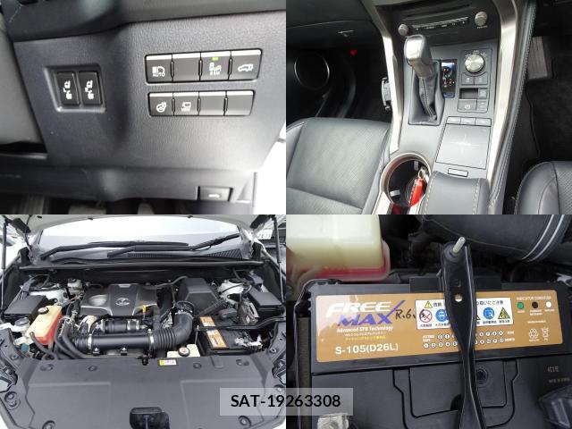 Lexus NX 2018-10 8009485-12