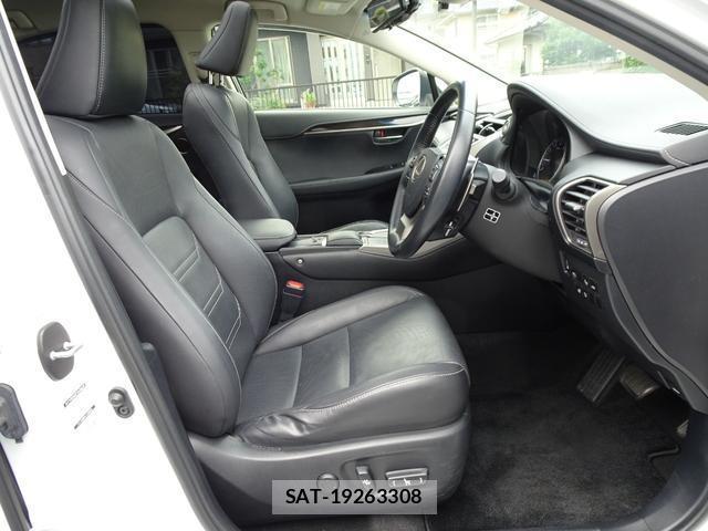 Lexus NX 2018-10 8009485-17
