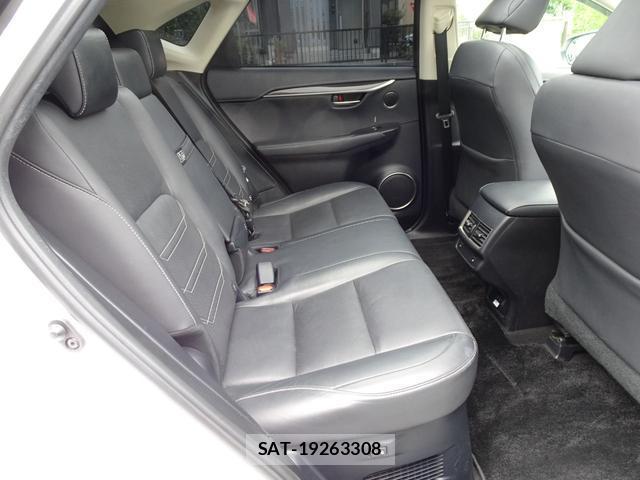 Lexus NX 2018-10 8009485-19