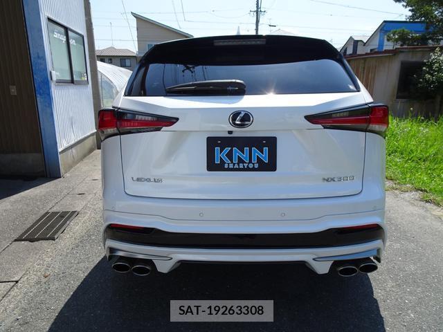 Lexus NX 2018-10 8009485-7