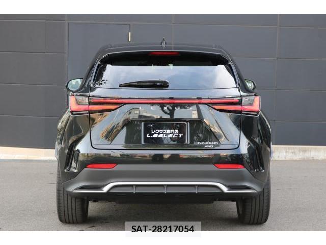 Lexus NX 2022-10 8011180-14