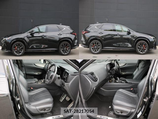 Lexus NX 2022-10 8011180-5