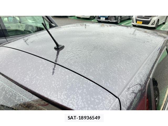 VolksWagen POLO 2015-08 8009808-11