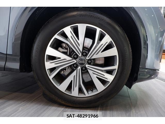 Audi E-TRON 2024-12 8004931-10